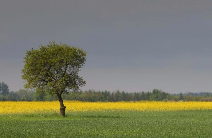 Służby ostrzegają przed przestępcami.